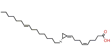 Amphimic acid B